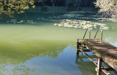 Manoir Périgord Noir/Piscine chauffée/Etang&Forêt - Photo 5