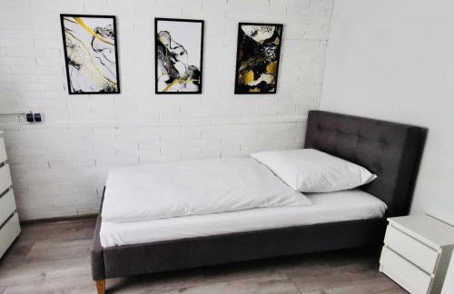 Dom Nad Brzegiem Jeziora - Foto 4