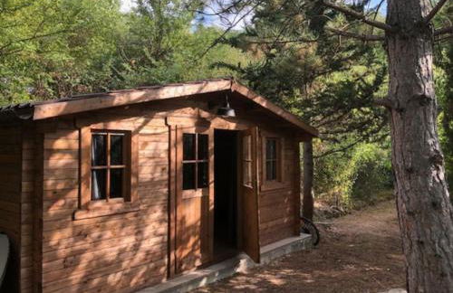 Mazet avec piscine, vue Ventoux - Foto 22