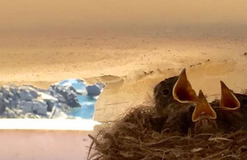 Villa Bianca, piscina e panorama - Foto 33