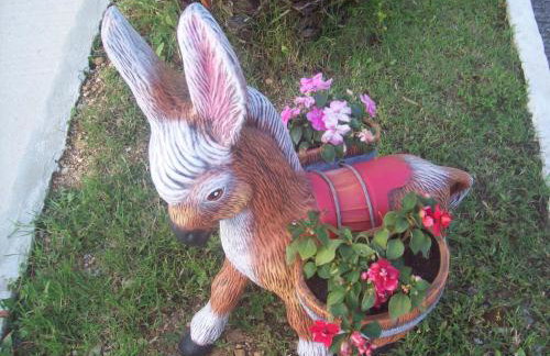 Mιχαλης Apartments - Foto 40