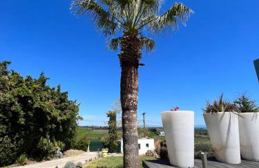 Modern House Ancient Pydna - Foto 14