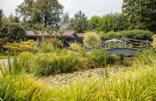 Dom na wsi, Agroturystyka BlueBeaver - Foto 16