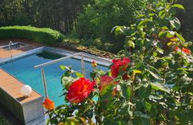 Ferienwohnung Hauptmann - Foto 39