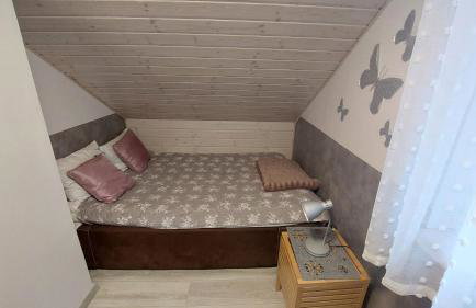 Zielony Zakątek Sosnówka - Foto 47