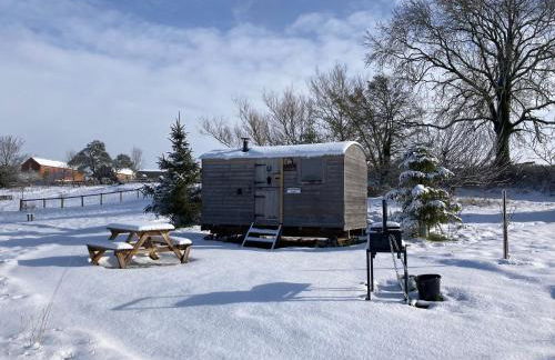 The Shepherd's Hut with cozy logburner - Foto 13