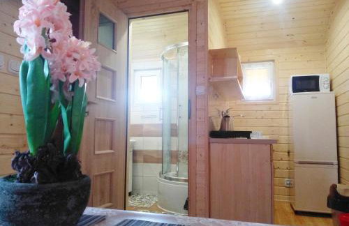 Domki pod Żukowcem - Foto 12