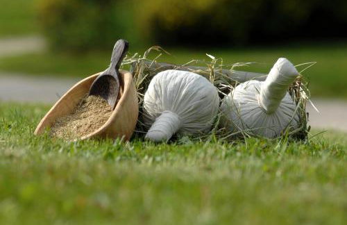 Ferienhaus Nadine 2023 komplett saniert - Foto 47