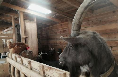 Agriturismo Alle Baite - Foto 80