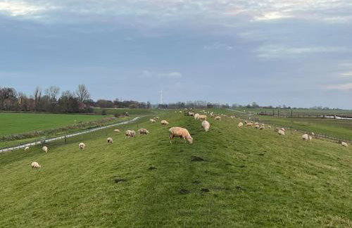 Ferienhaus am Deich mit Küche, Balkon und Smart-TV - Photo 22