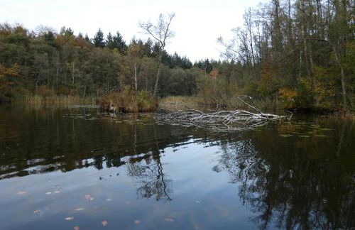 FeWo mit Balkon, Zimmermann - Foto 49