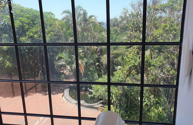 Zimbali beach estate - Foto 67