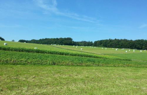 Steirer-Hof - Foto 33