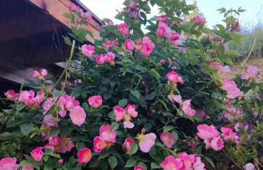 Chalet Ailleurs Appartement à Molines en Queyras - Foto 8