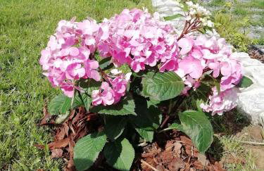 Sielskie Góry - Foto 28