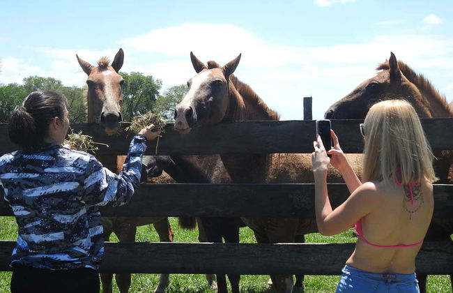 Visita a la estancia San Rafael - Foto 3