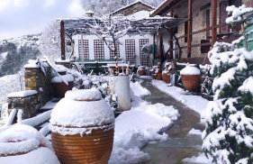 Μακρινίτσα Αλώνια - Foto 37