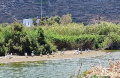 Beach House Paraporti - Foto 49