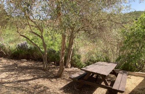 Casa Siempre feliz - Foto 28