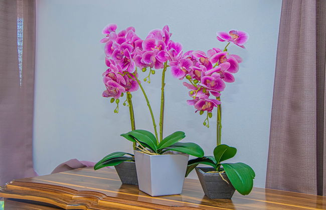 Crystal Jamaica Villa - Photo 16