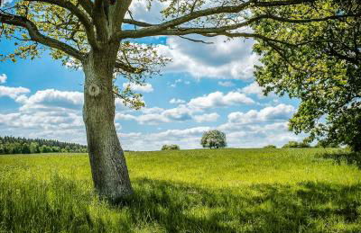 Historic Country House In Secluded Nature - Foto 10