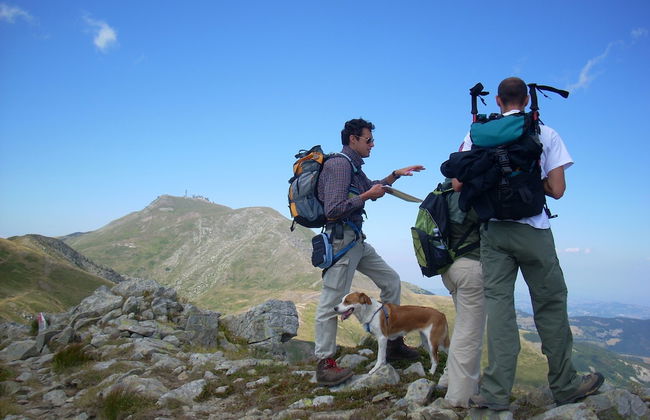 Residence Cimone - Foto 39