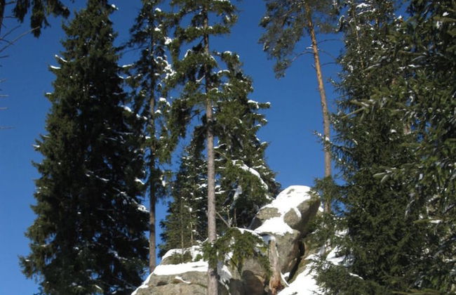 Apartment in Eibenstock - Foto 16