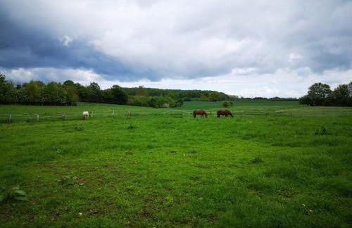 Fischerhus - Photo 13