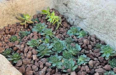 Vistas Del Maestrazgo apartamentos Rurales - Foto 18