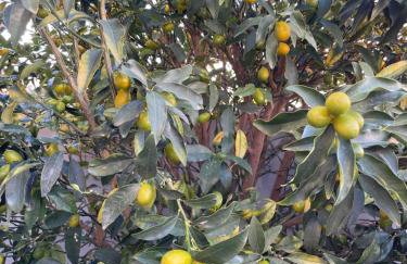 Relaxation AquatiqueGarantie100% - Foto 80