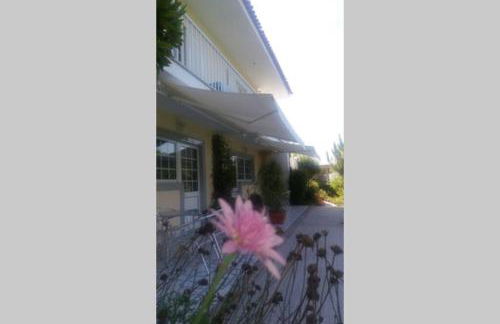 studio veerle - Foto 13