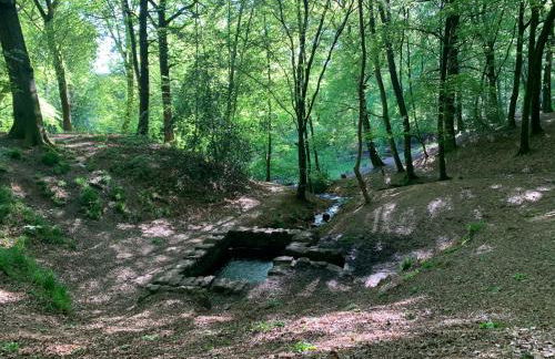 Pumping Station Holidays - Foto 56