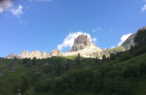 Cesa Fossal - Foto 44