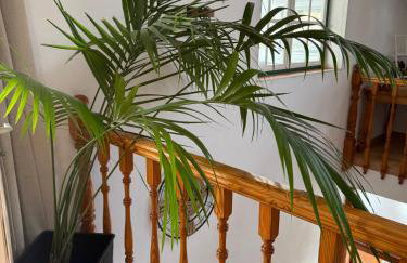 La Casa de Abona - Photo 20