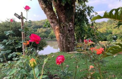 Natureza, paz no sítio - Foto 24