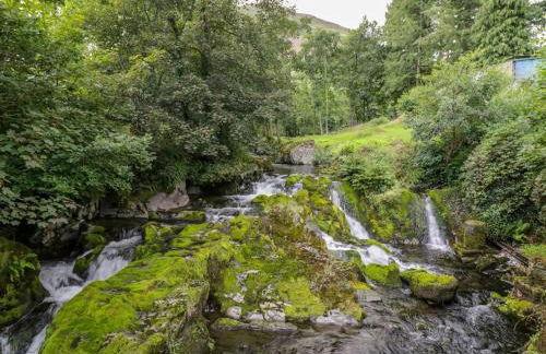 Dyfi Cottage - Photo 11