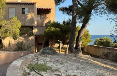 Paradis carry - Foto 7