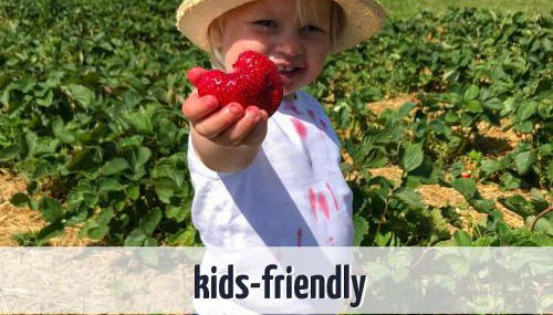 Wiesengeflüster S5 Gruppenhaus haustierfrei mit Aussicht, Wiese und Müritznähe - Foto 2