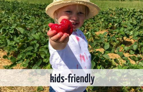 Apartment mit Seeblick - 950 m zum Hundestrand - Wiesengeflüster - Foto 35