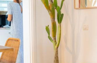 Vivienda Vacacional Pasito Blanco 1 - Foto 27