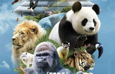 Un petit coin de paradis3 proche Beauval&chateaux - Foto 18