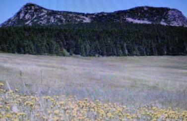 La Vallée De La Loire - Foto 21