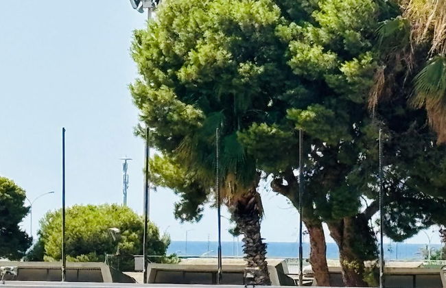 Sunshine Apartment - Cagliari - Foto 1