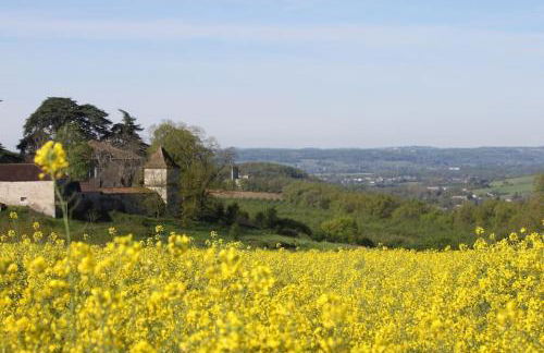 Grande maison en pierre de taille avec piscine, sauna et jacuzzi - Foto 16
