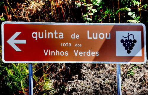 Quinta de Luou - Photo 38