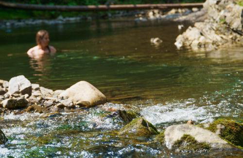 Novosiele Lifestyle Apartments - nad górską rzeką - Strefa relaksu sauna jacuzzi - Bieszczady - Foto 26