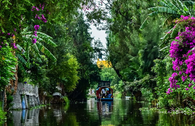 Coyoacán & Xochimilco Small Group Tour - Photo 8