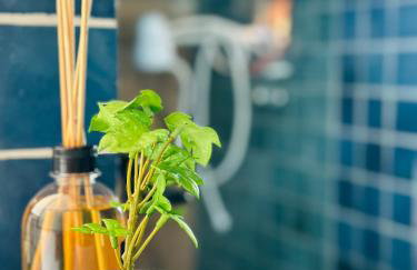 Studio Apto 2 - Praia Vista Linda próximo a rodoviária - Residencial Sereira - Foto 26