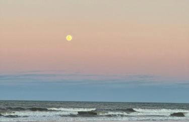 Casa e Canella - Apartamento Aconchegante Pé na Areia - Ilhéus - Foto 63