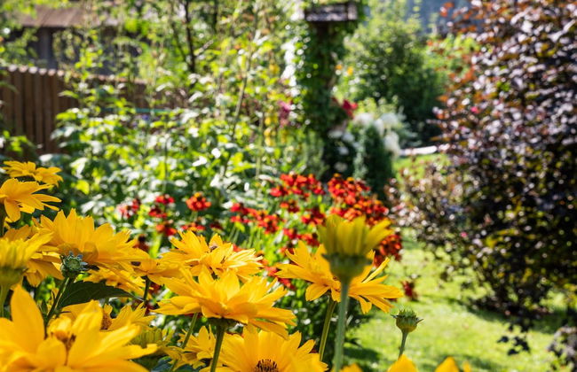 Der Brückenwirt - Foto 79